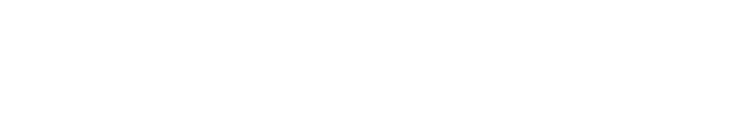 Visual HealthNet logo