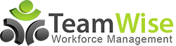 TeamWise logo