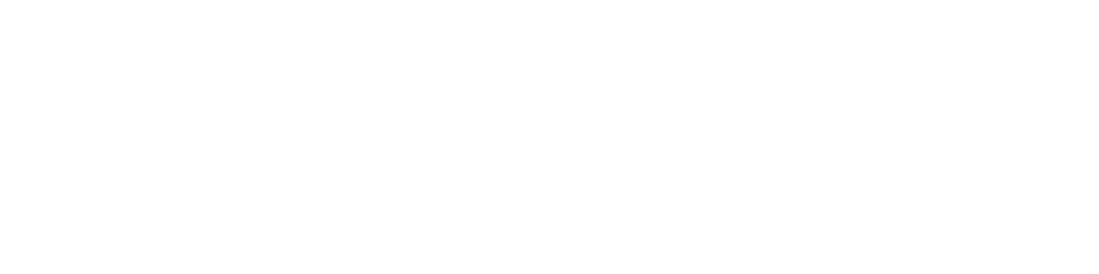 Zenepal logo