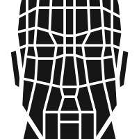 Stone Lock True Frictionless logo