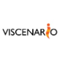 Viscenario logo