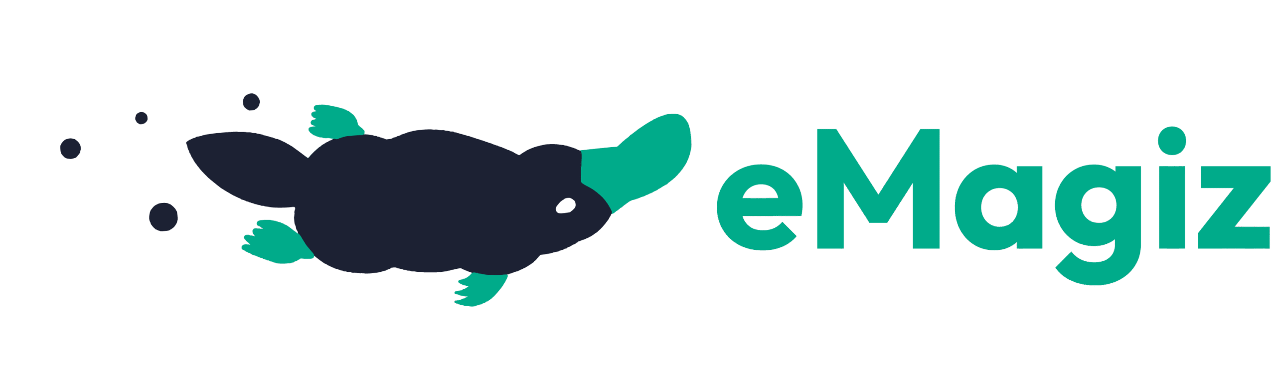 eMagiz logo