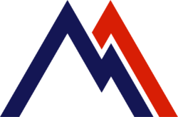 WMS-Technology logo
