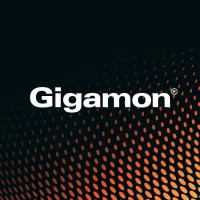 Gigamon Visibility and Analytics Fabric logo