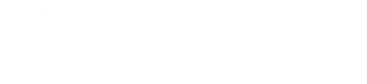 Licenseware logo