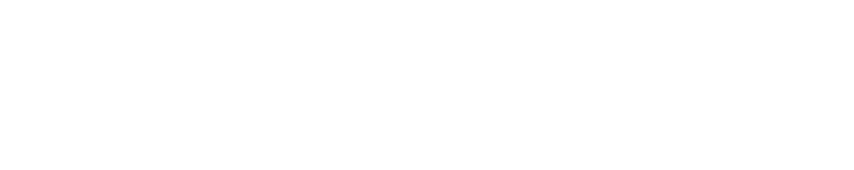 Catapush logo