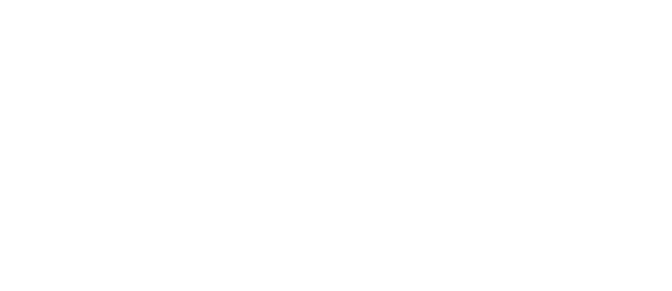 2imagine Pulse logo