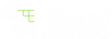 Talentmetrix logo