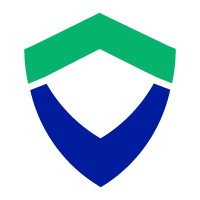 Valor Paytech logo