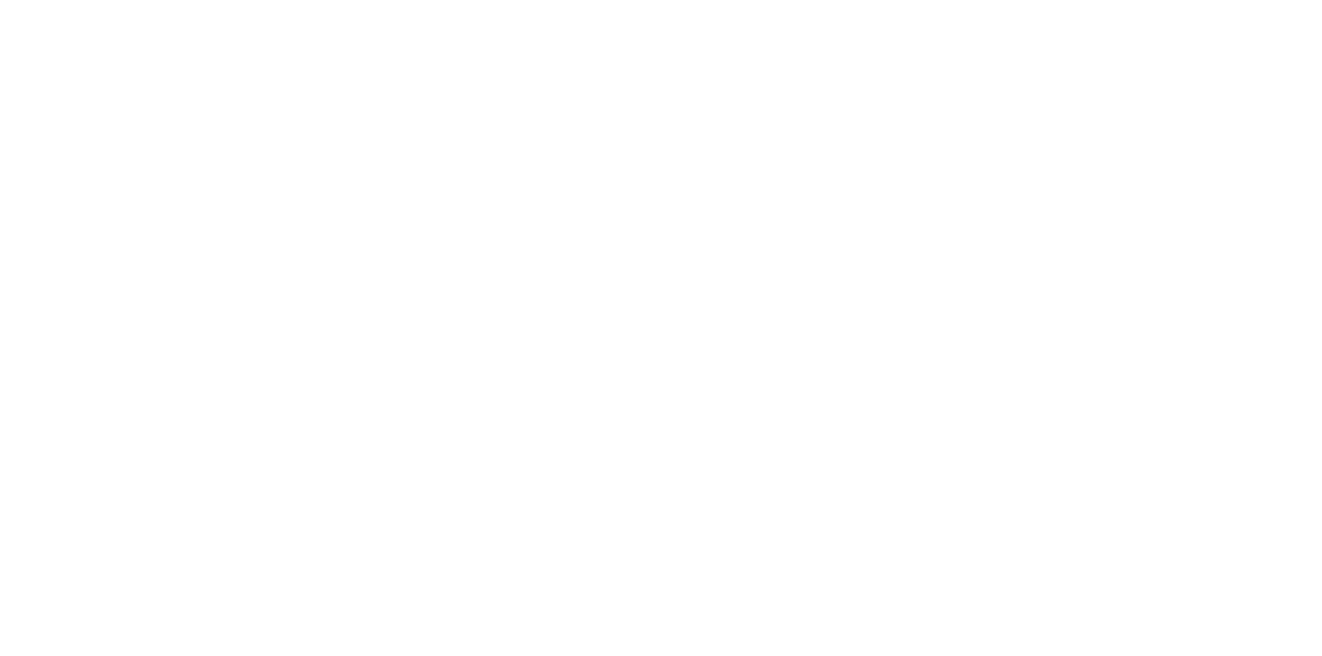 Analog Informatics logo