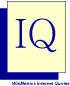IQ by WinMetrics logo