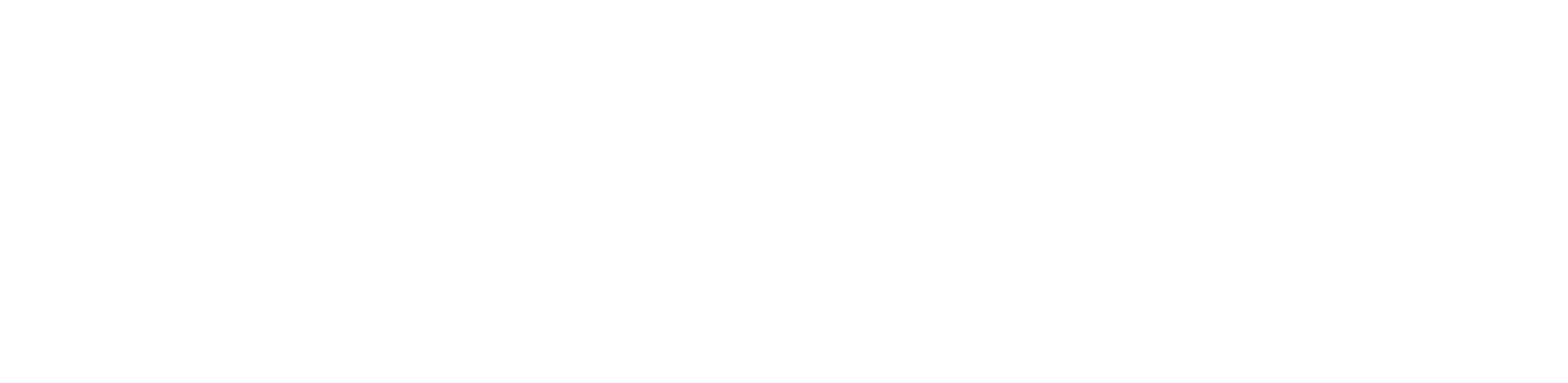 EviSane logo