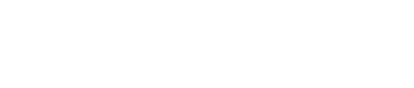 Bluesight logo