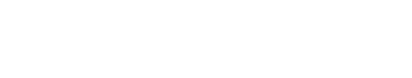 ZipSurvey logo
