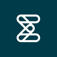 Enalyzer logo