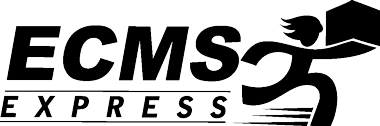 ECMSGlobal logo