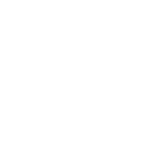 Envision Pro logo