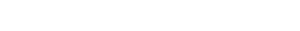 Daily Sales Record logo