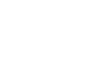 Yesbox Pulse logo