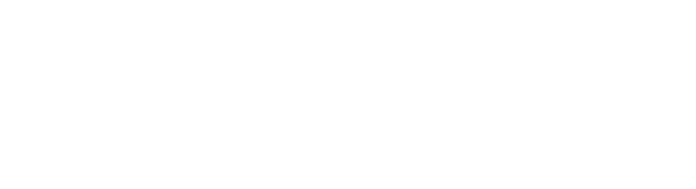 Vetted logo