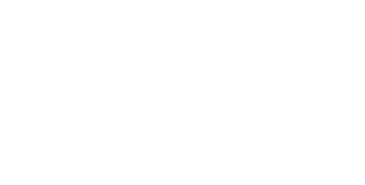 Finli logo