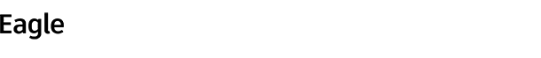 Eagle Space logo