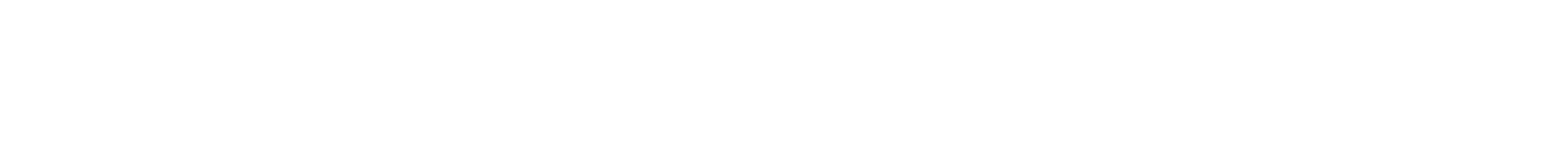 Plyzer Intelligence logo