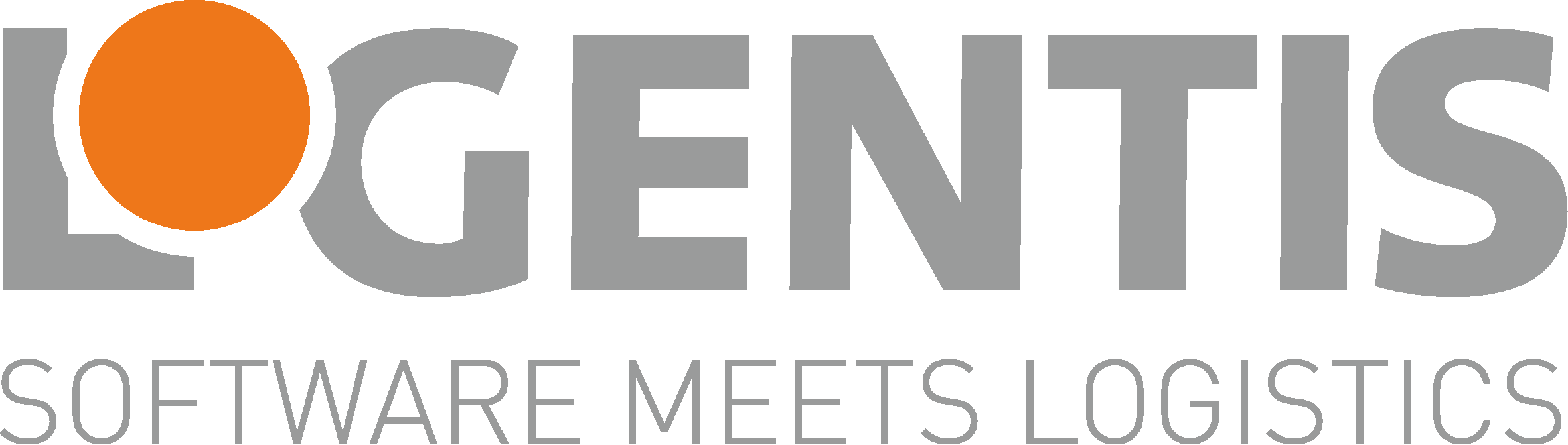 NETVERSYS logo