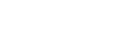 Berntsen International logo
