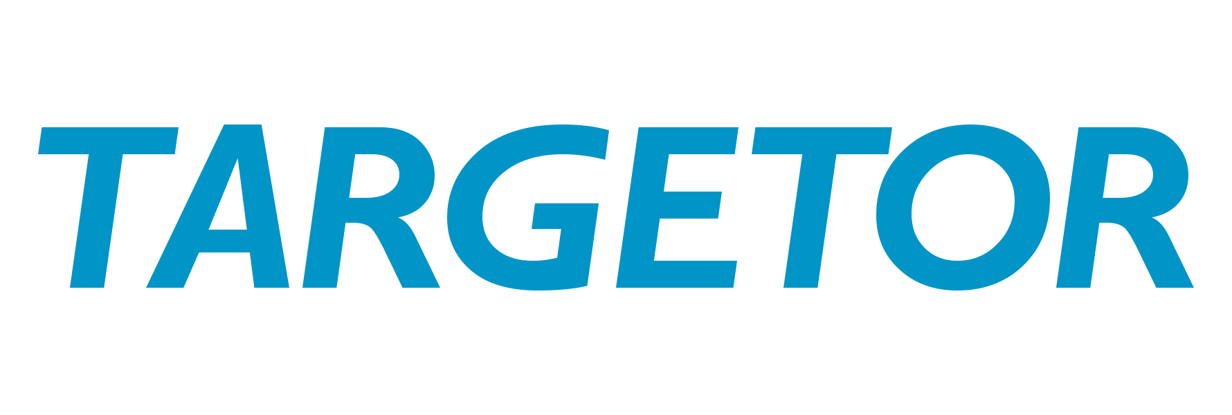 Targetor Risk Management logo