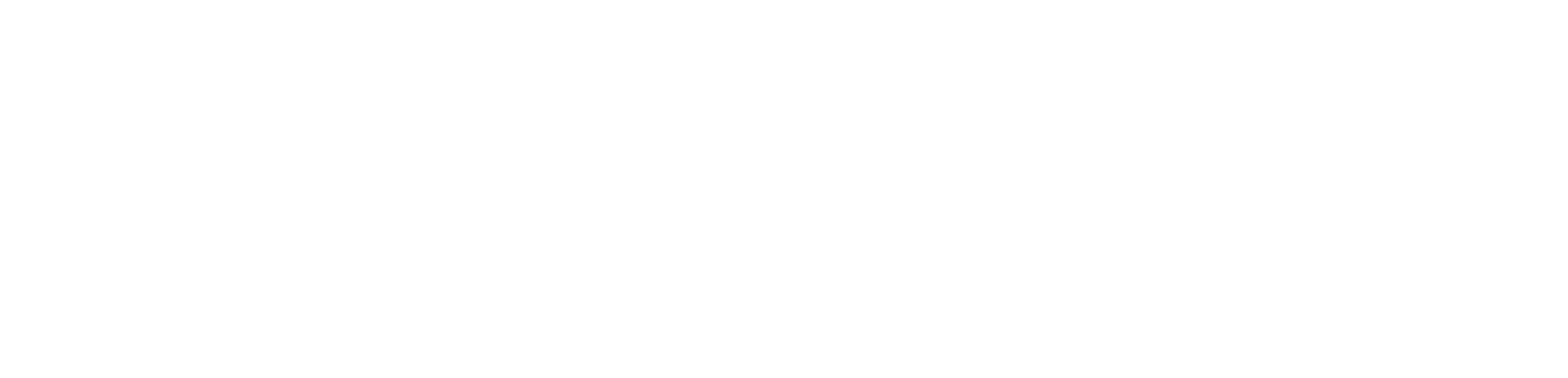 Paragon Application Systems logo