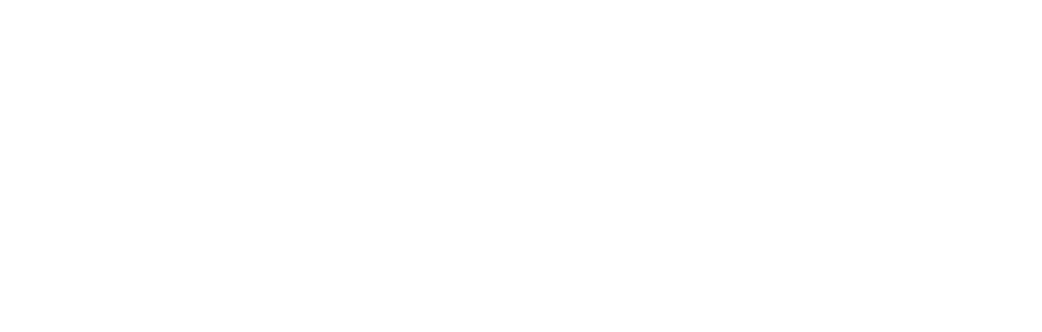 Ziga logo