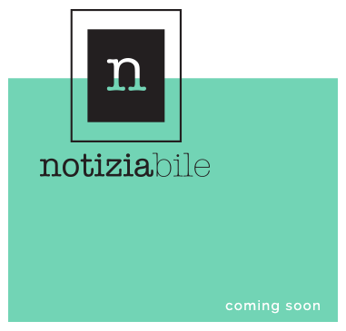 Notiziabile logo