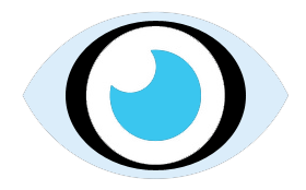 Netoptis logo