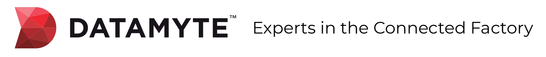 DataMetrics logo