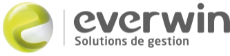 Everwin iVision logo