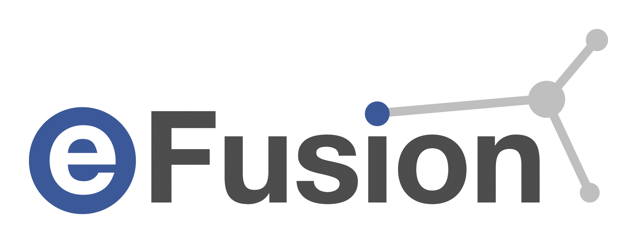 eFusion logo