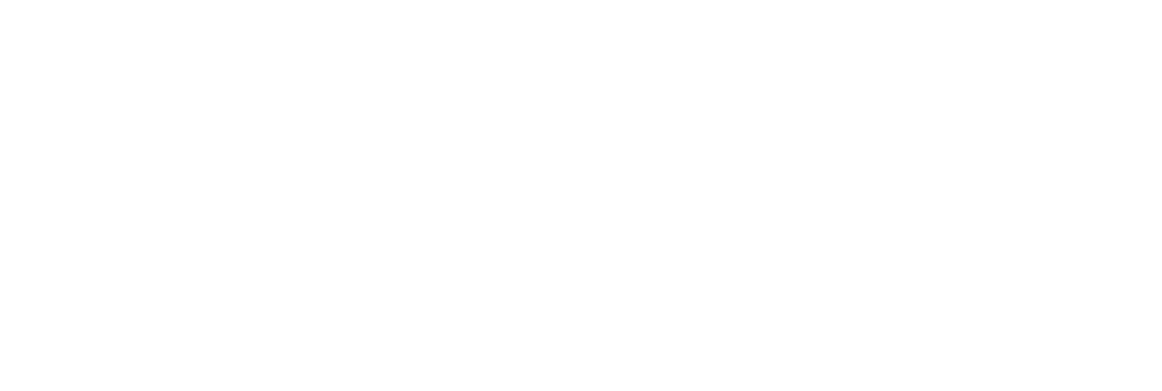 PassVult logo