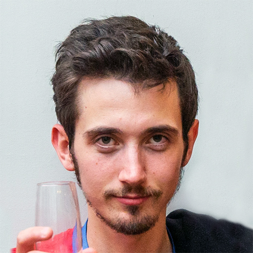 Matteo Biagiola's Research logo