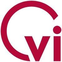 viSkills logo
