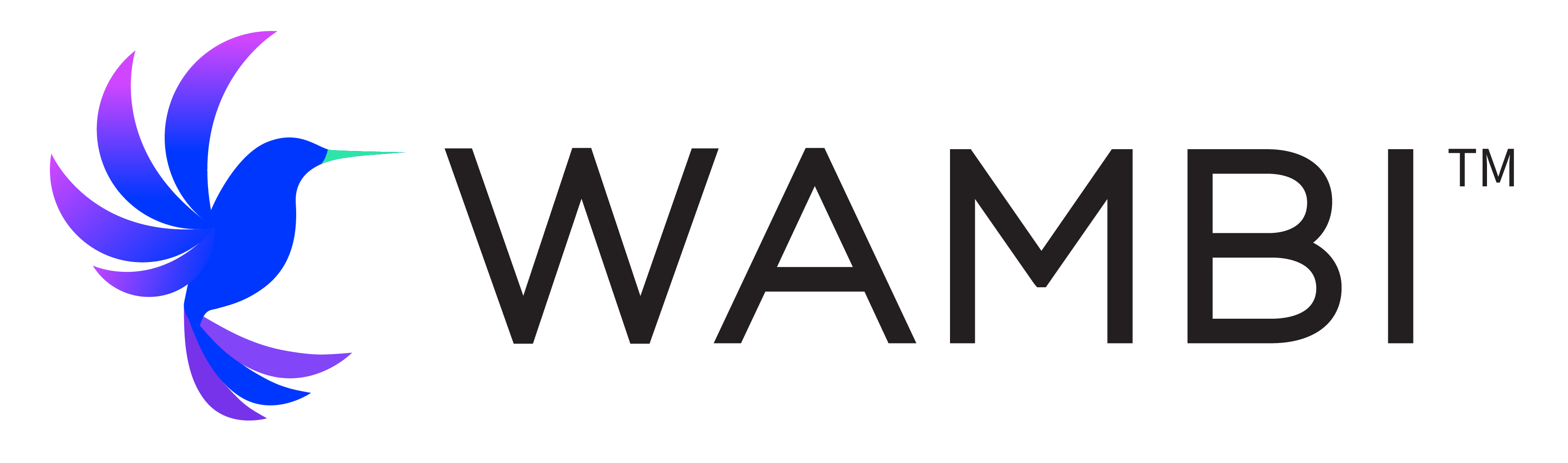 Wambi logo