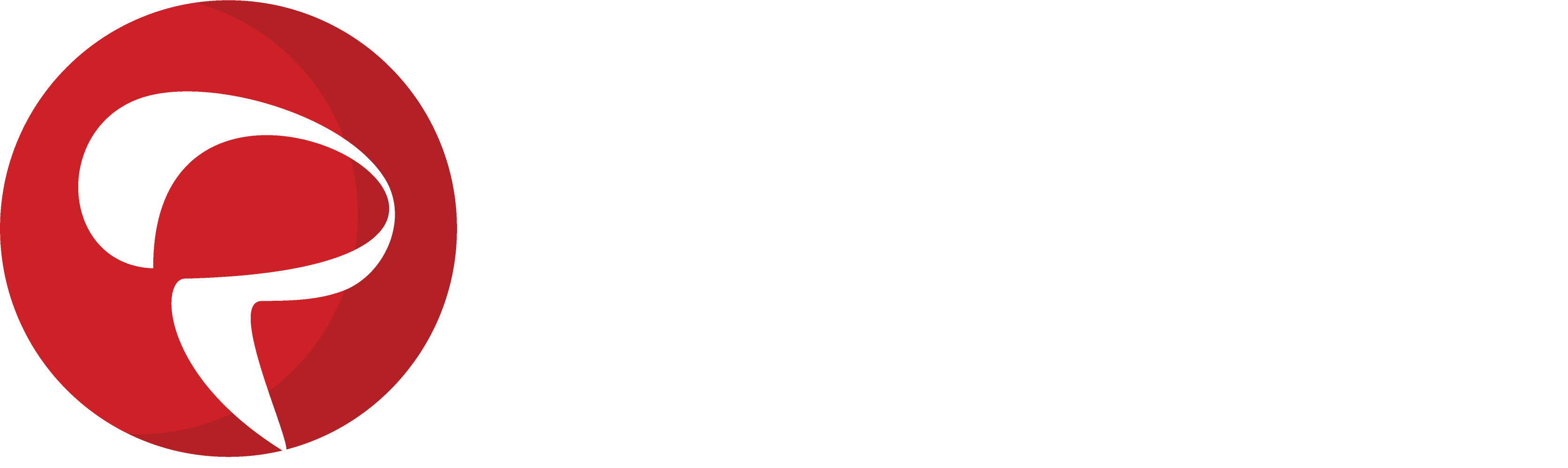 Pinflux logo