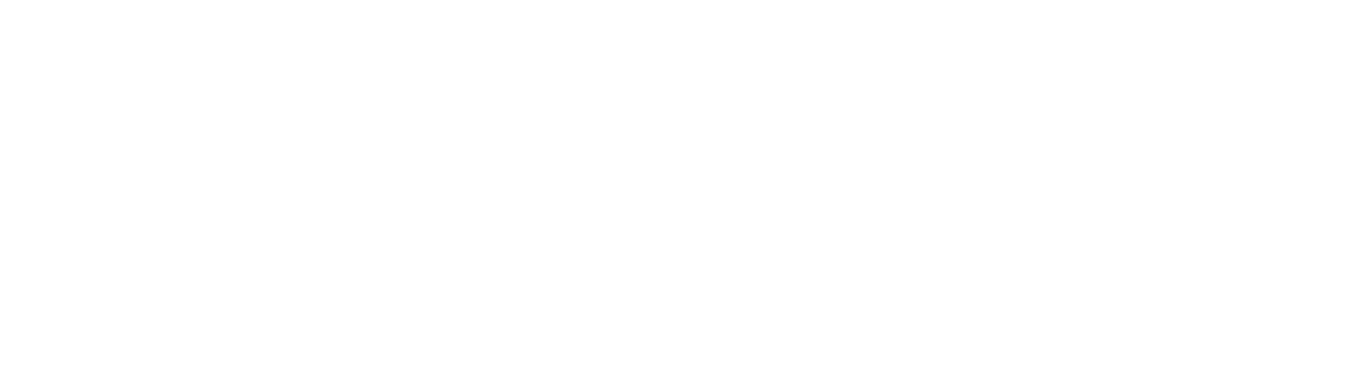 NewsWhip logo