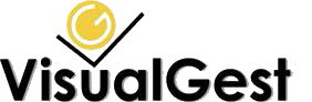 VisualGest RS logo