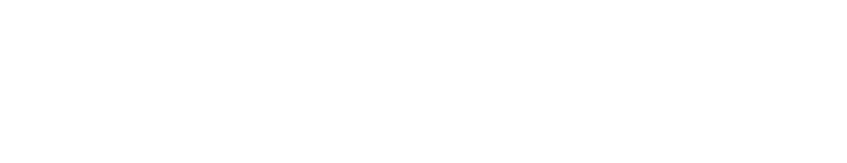 TraceInspect logo
